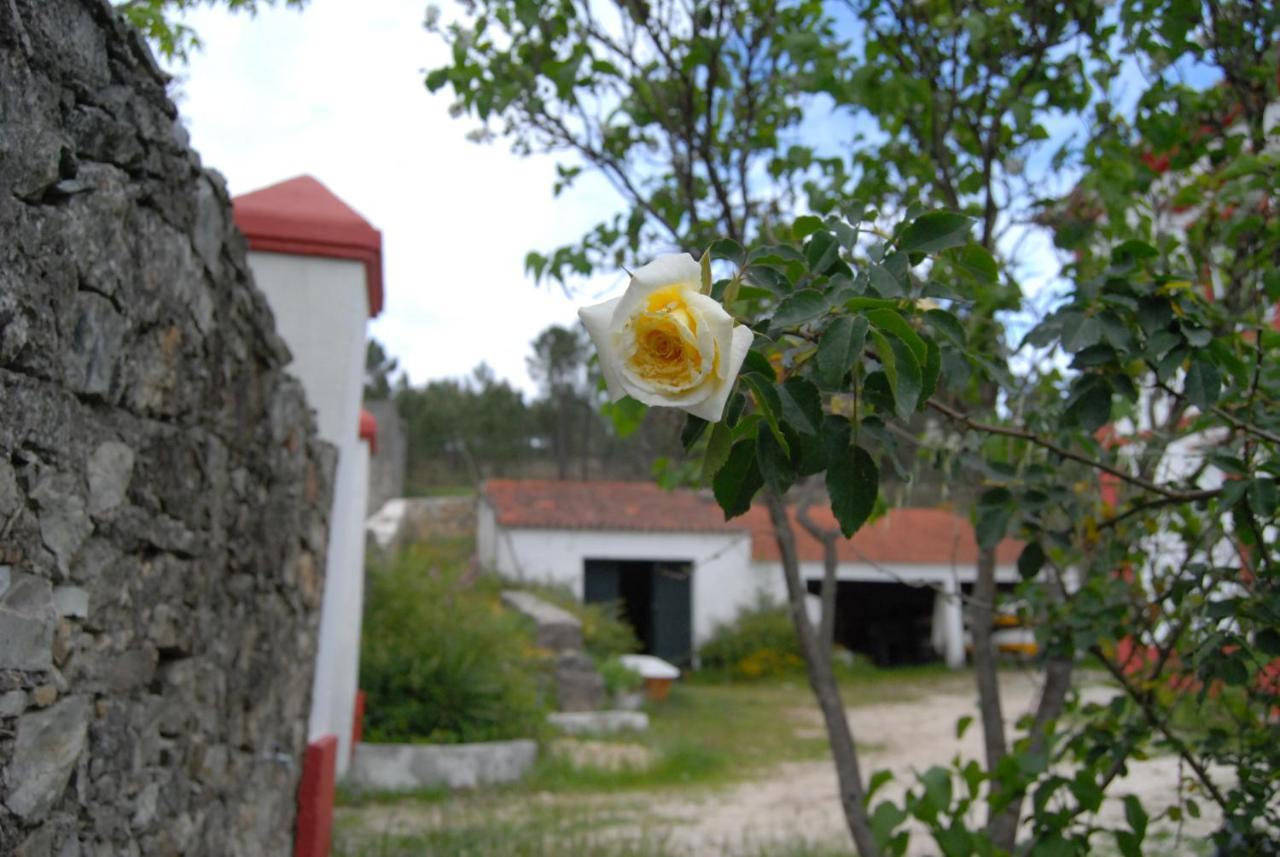 Predio Na Amendoa Villa Buitenkant foto
